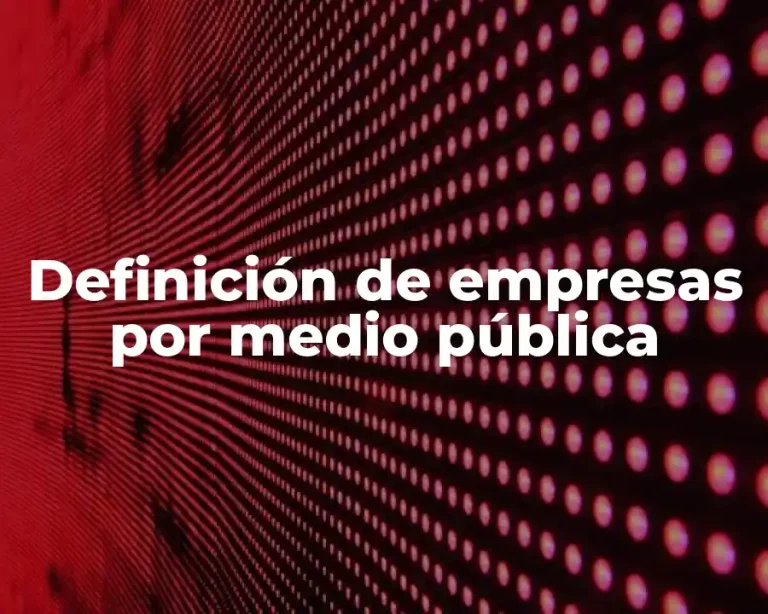 Definición de empresas por medio pública