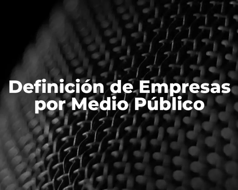 Definición de Empresas por Medio Público