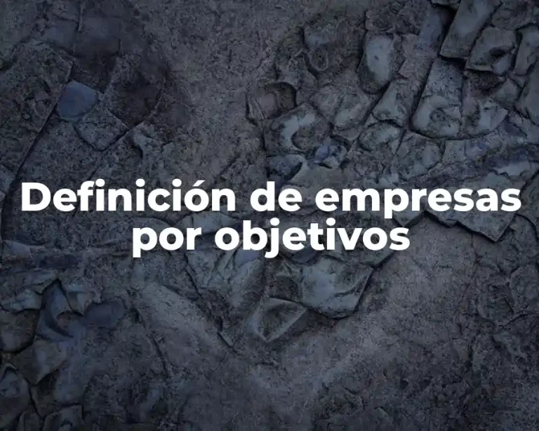 Definición de empresas por objetivos