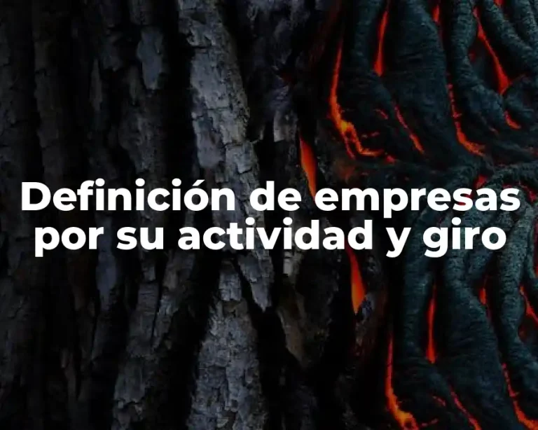 Definición de empresas por su actividad y giro
