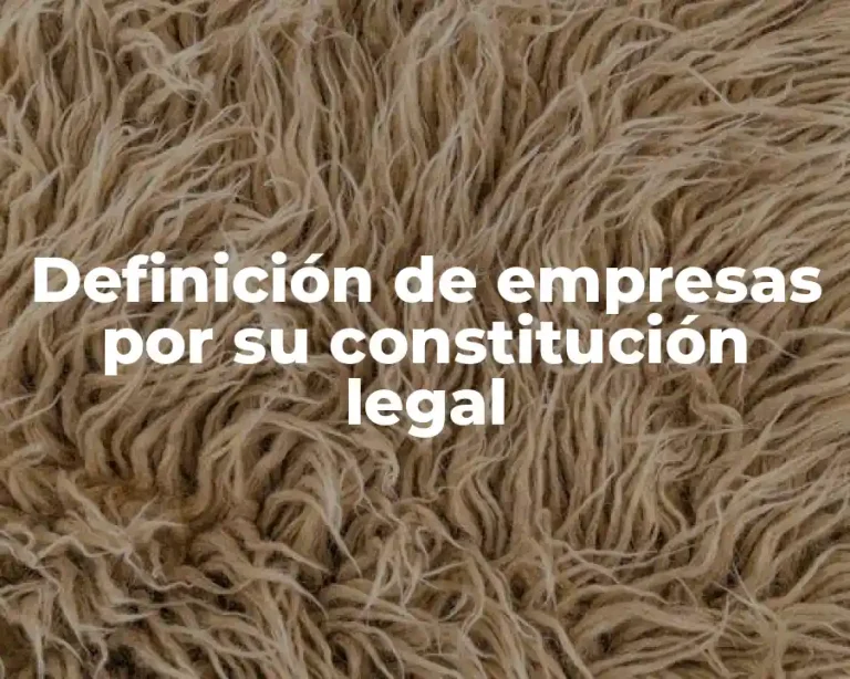 Definición de empresas por su constitución legal