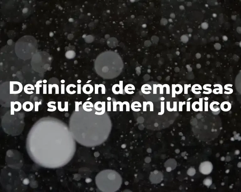 Definición de empresas por su régimen jurídico