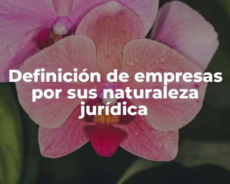 Definición de empresas por sus naturaleza jurídica