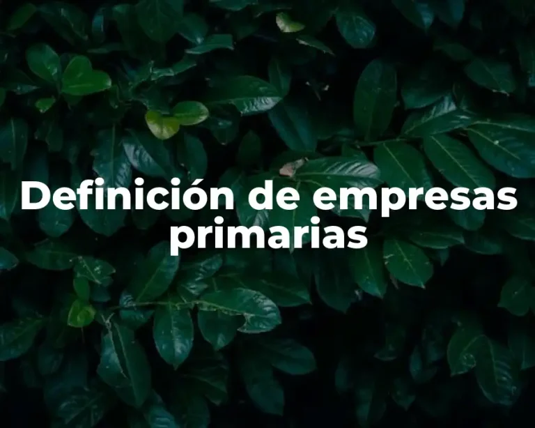 Definición de empresas primarias