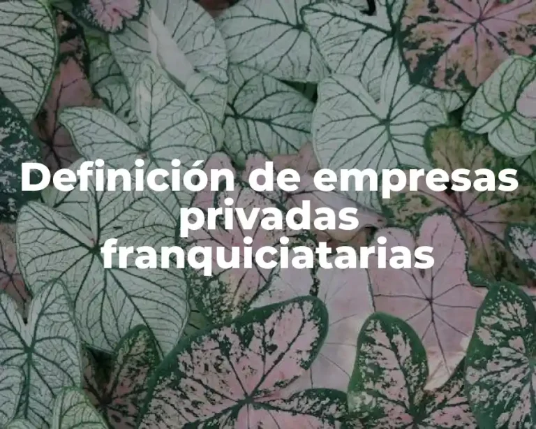 Definición de empresas privadas franquiciatarias