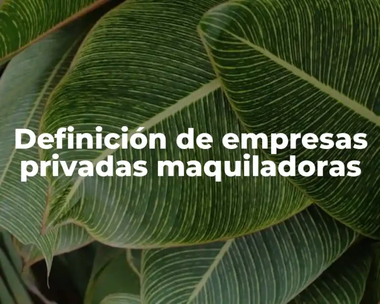 Definición de empresas privadas maquiladoras