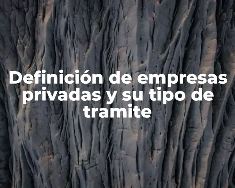 Definición de empresas privadas y su tipo de tramite