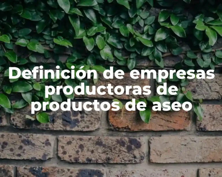 Definición de empresas productoras de productos de aseo