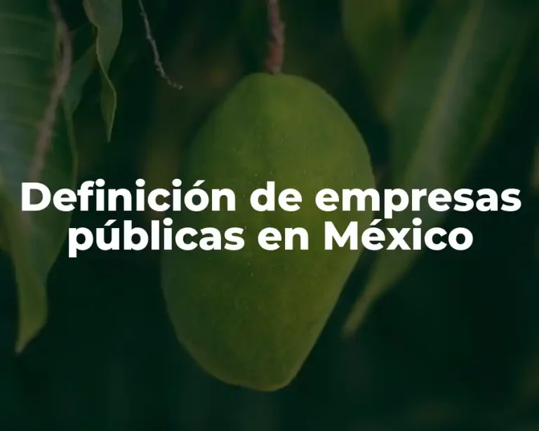 Definición de empresas públicas en México