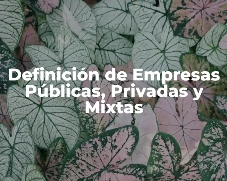 Definición de Empresas Públicas, Privadas y Mixtas