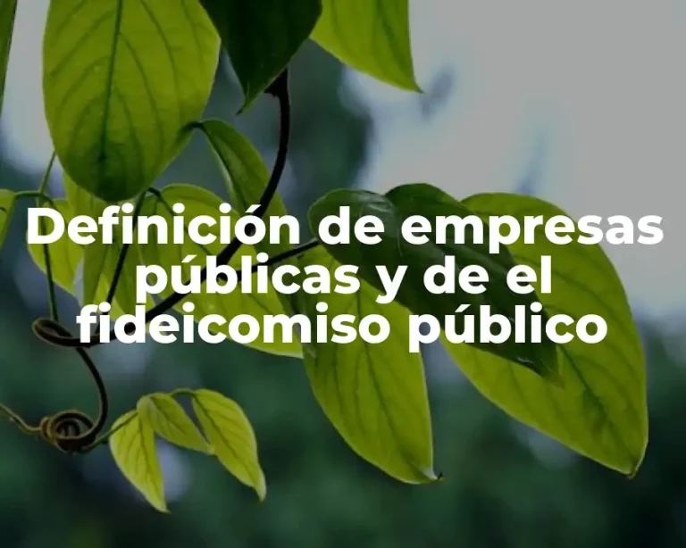 Definición de empresas públicas y de el fideicomiso público