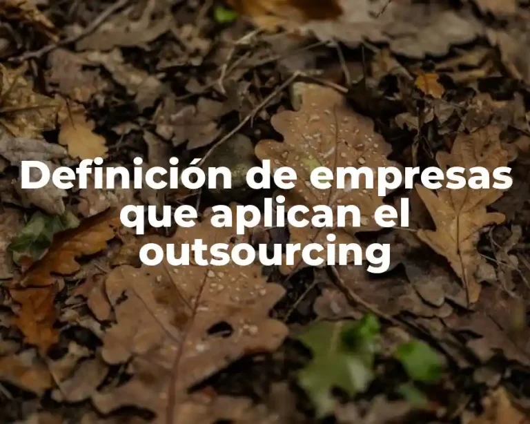 Definición de empresas que aplican el outsourcing