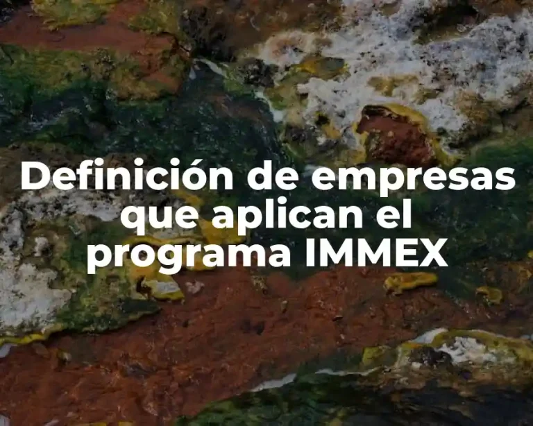 Definición de empresas que aplican el programa IMMEX