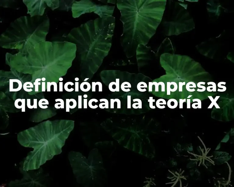 Definición de empresas que aplican la teoría X