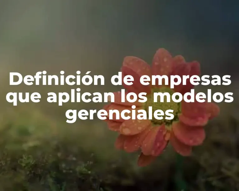 Definición de empresas que aplican los modelos gerenciales