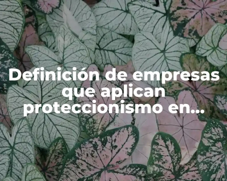 Definición de empresas que aplican proteccionismo en Estados Unidos