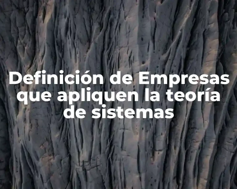 Definición de Empresas que apliquen la teoría de sistemas
