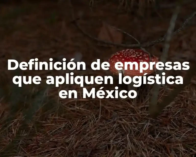 Definición de empresas que apliquen logística en México