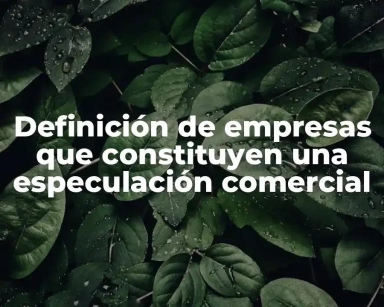 Definición de empresas que constituyen una especulación comercial