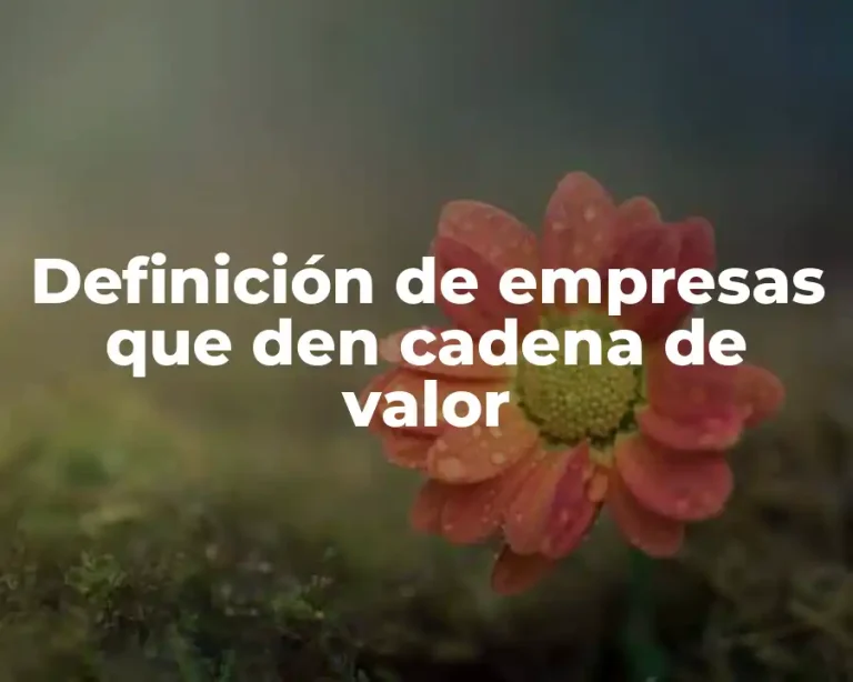 Definición de empresas que den cadena de valor