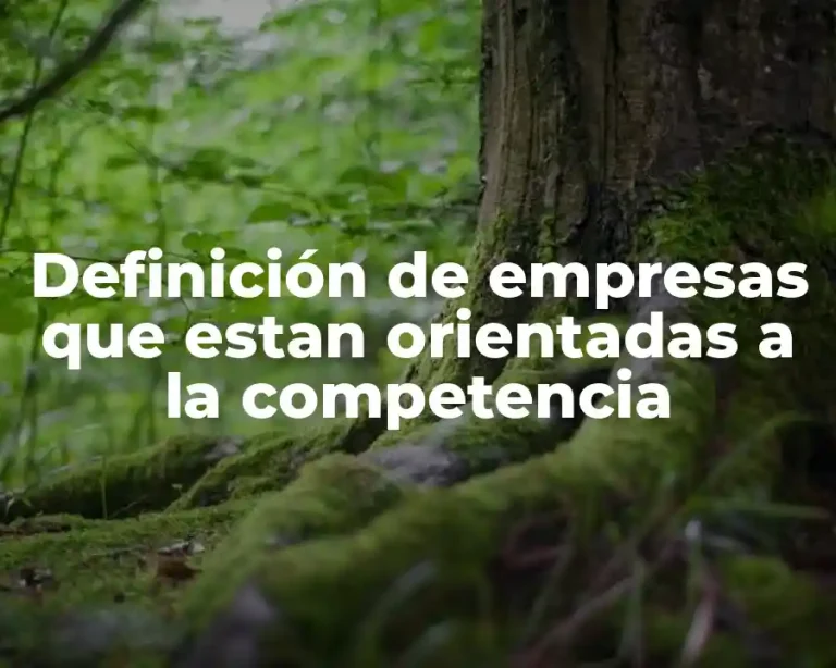 Definición de empresas que estan orientadas a la competencia