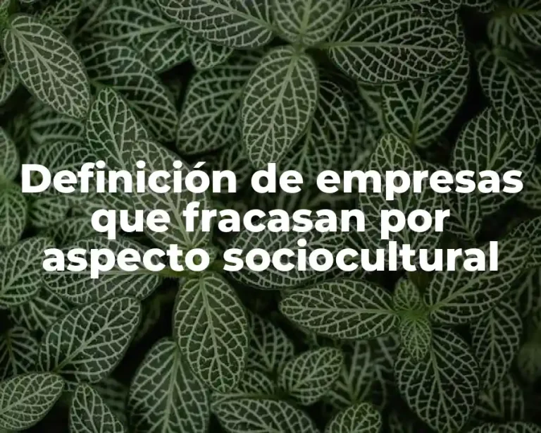 Definición de empresas que fracasan por aspecto sociocultural