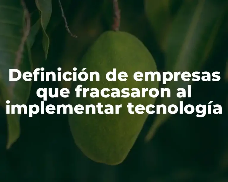 Definición de empresas que fracasaron al implementar tecnología