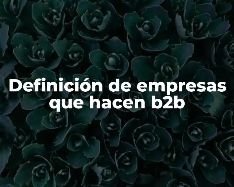 Definición de empresas que hacen b2b