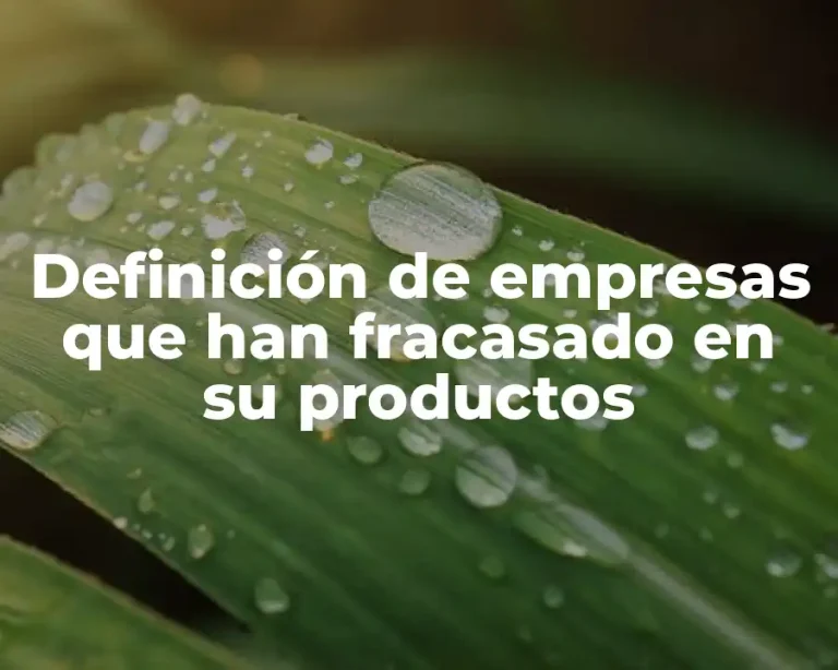 Definición de empresas que han fracasado en su productos