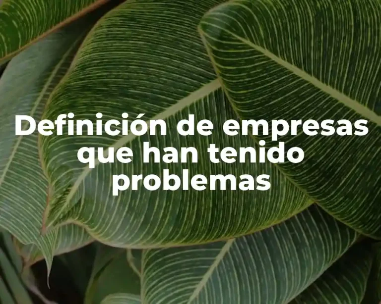 Definición de empresas que han tenido problemas