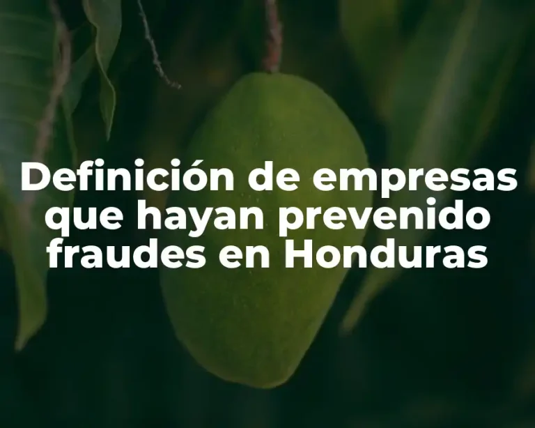 Definición de empresas que hayan prevenido fraudes en Honduras