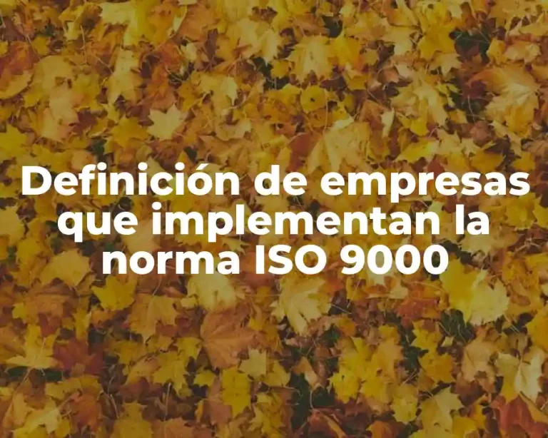 Definición de empresas que implementan la norma ISO 9000
