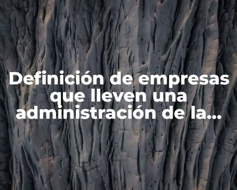 Definición de empresas que lleven una administración de la demanda