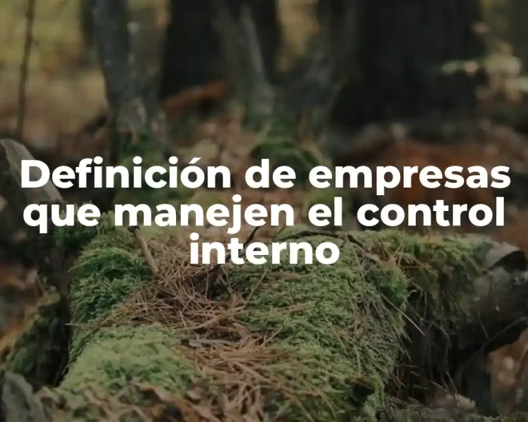 Definición de empresas que manejen el control interno