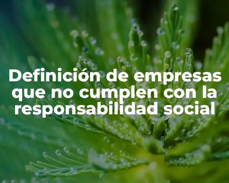 Definición de empresas que no cumplen con la responsabilidad social