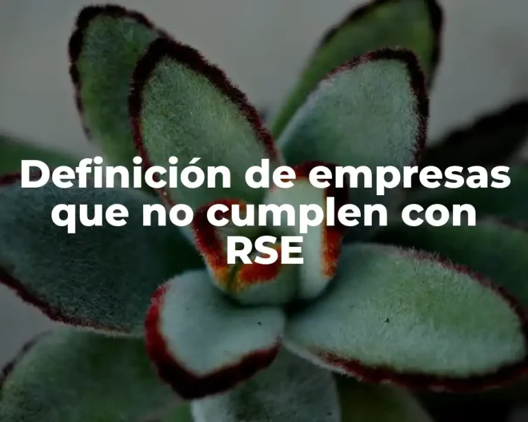 Definición de empresas que no cumplen con RSE
