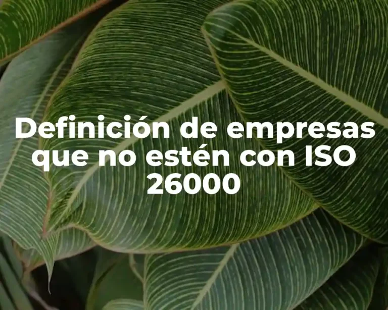 Definición de empresas que no estén con ISO 26000