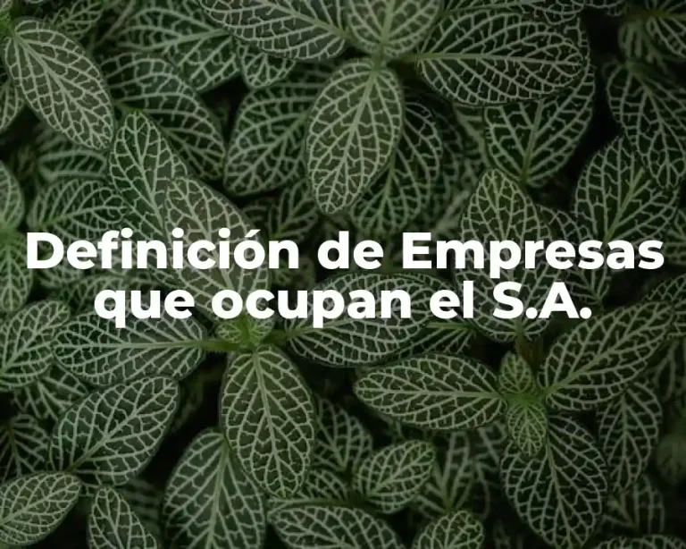 Definición de Empresas que ocupan el S.A.