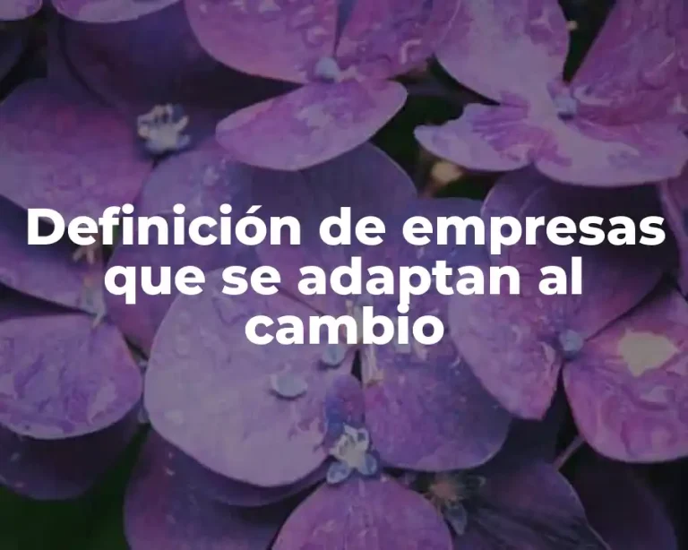 Definición de empresas que se adaptan al cambio