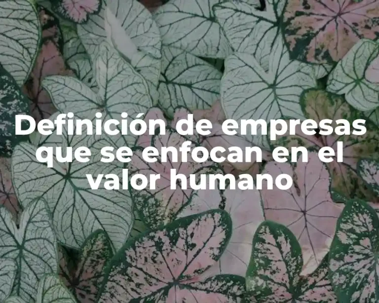 Definición de empresas que se enfocan en el valor humano