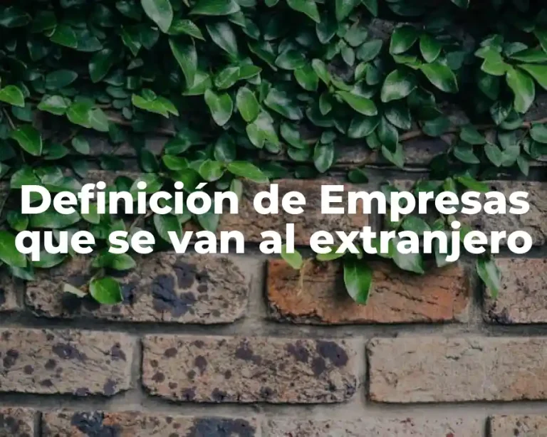 Definición de Empresas que se van al extranjero