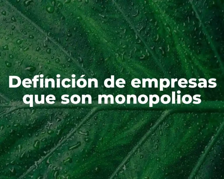 Definición de empresas que son monopolios