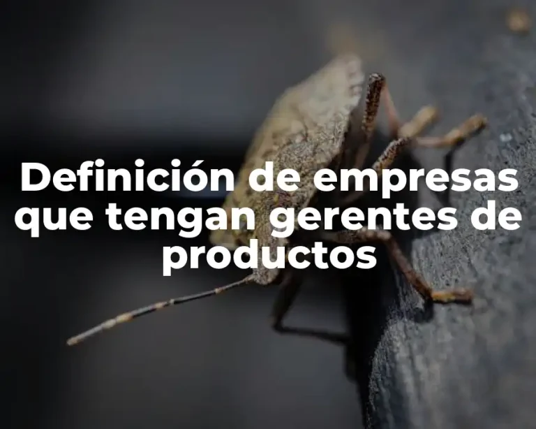 Definición de empresas que tengan gerentes de productos
