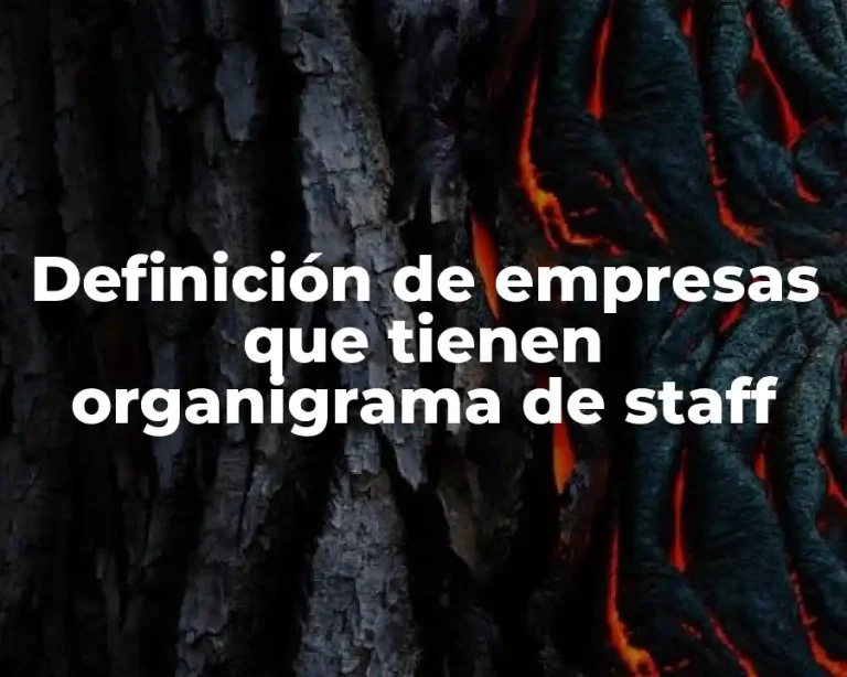 Definición de empresas que tienen organigrama de staff