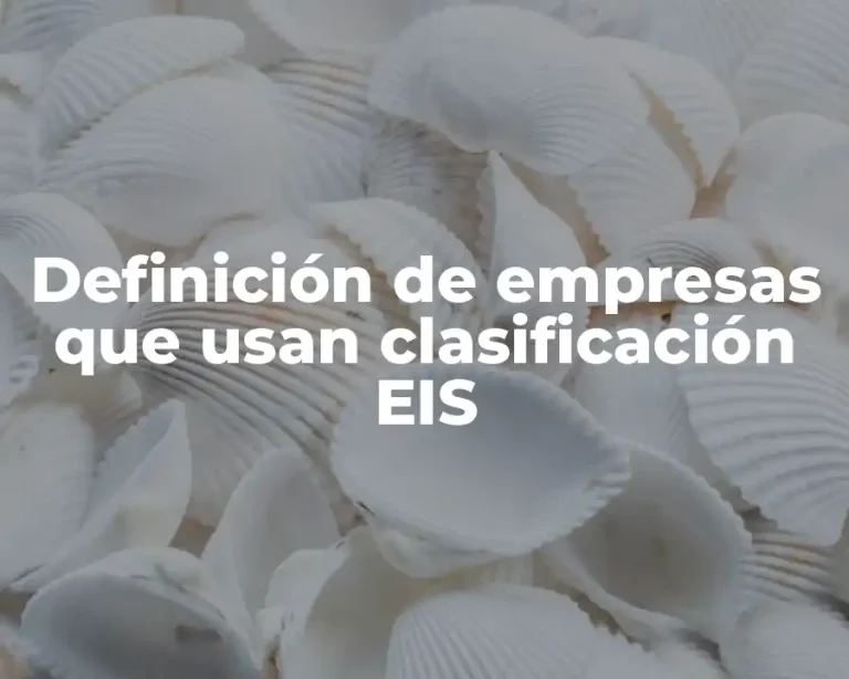 Definición de empresas que usan clasificación EIS