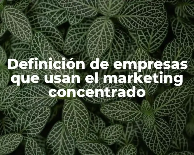 Definición de empresas que usan el marketing concentrado