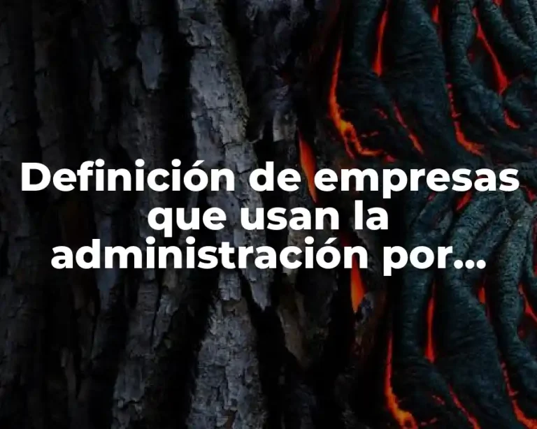 Definición de empresas que usan la administración por objetivos