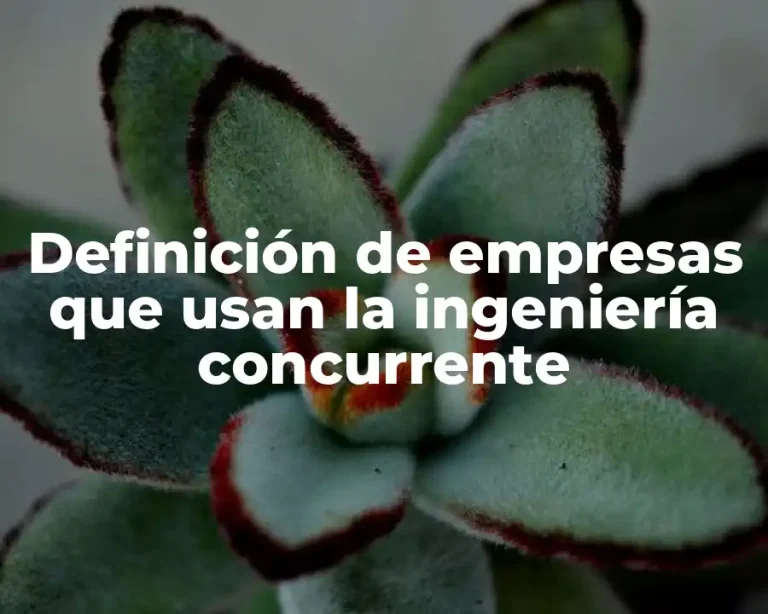 Definición de empresas que usan la ingeniería concurrente