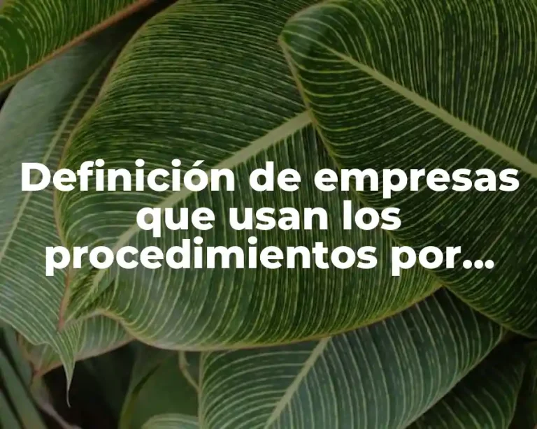 Definición de empresas que usan los procedimientos por procesos