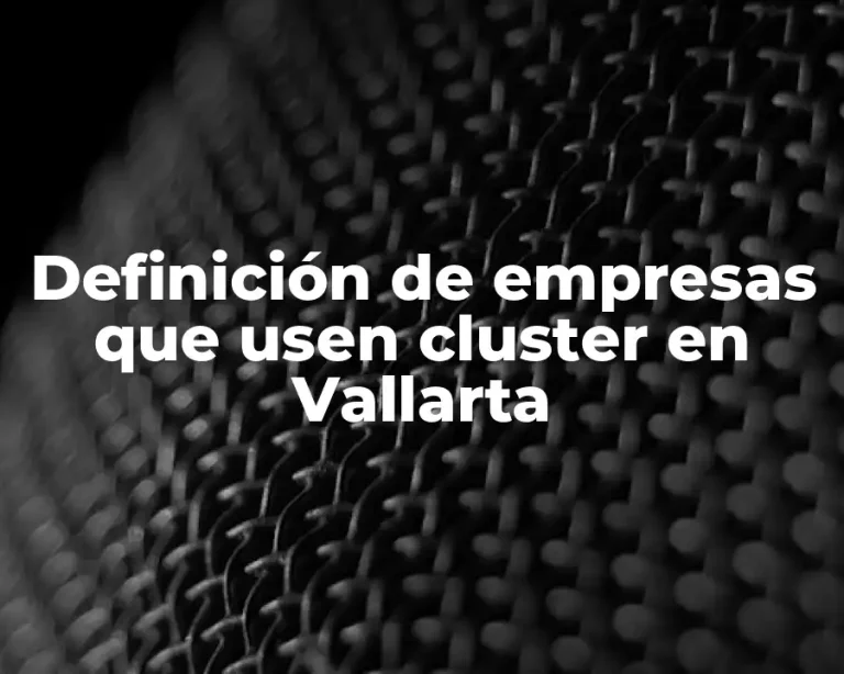 Definición de empresas que usen cluster en Vallarta